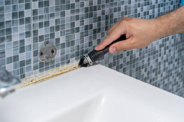 Best Mold Removal and Inspection  in Mulberry, NC