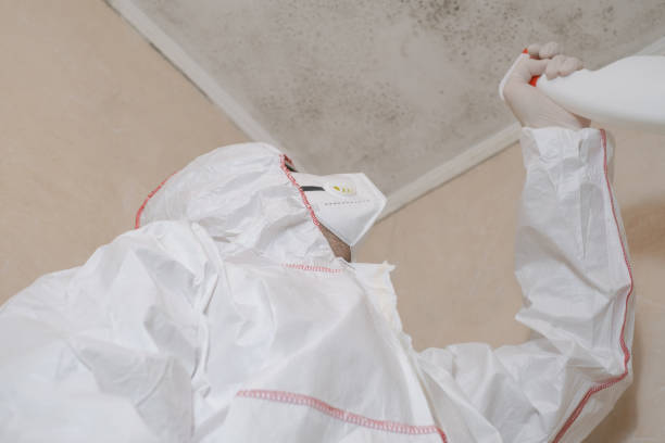 Mold Removal and Inspection in Mulberry, NC