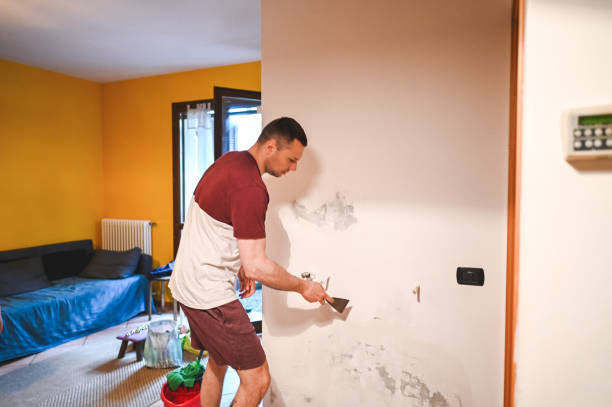 Best Mold Remediation  in Mulberry, NC